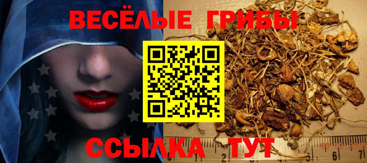 Галлюциногенные грибы Magic Shrooms Азов