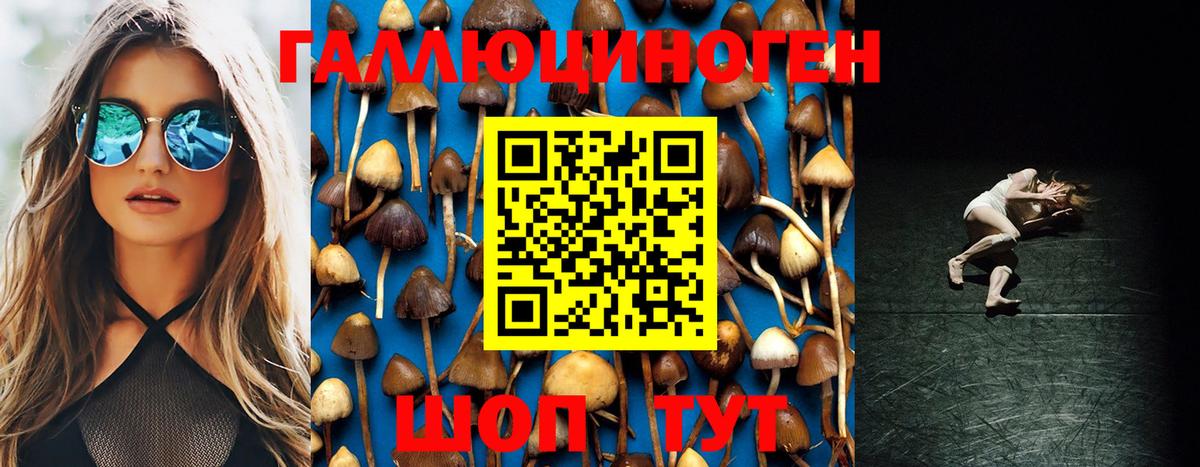 Псилоцибиновые грибы Psilocybine cubensis  Вход с VPN  Галлюциногенные грибы мицелий  продажа наркотиков  Азов 